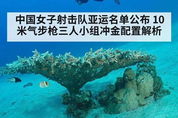 中国女子射击队亚运名单公布 10米气步枪三人小组冲金配置解析